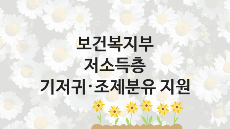 보건복지부
저소득층 기저귀·조제분유 지원