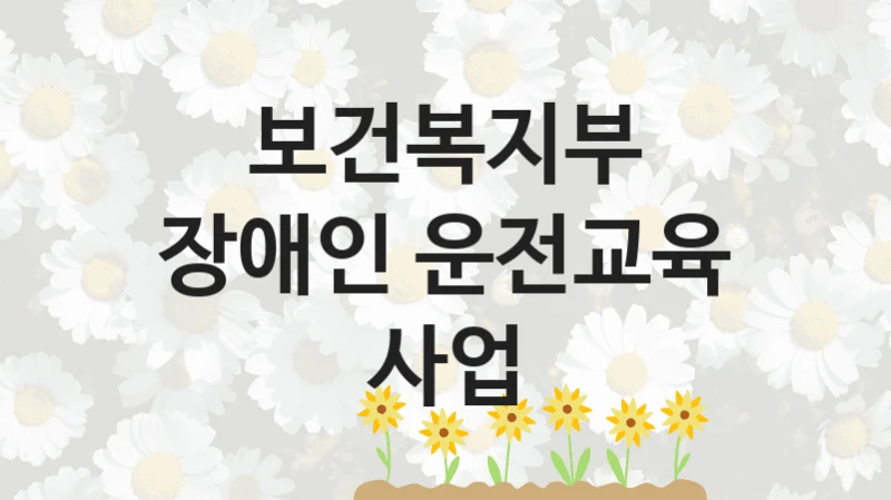 국가 지원 혜택 “장애인 운전교육 사업” – 보건복지부 신청 대상 및 제출 서류