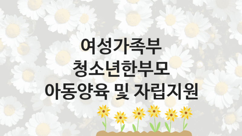 여성가족부, 청소년한부모 아동양육 및 자립지원 지원 정책안내, 신청 구비 서류와 일정