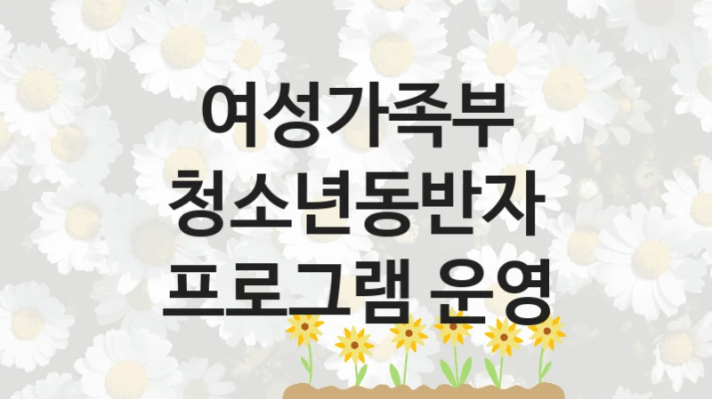 여성가족부, 청소년동반자 프로그램 운영 지원 정책, 신청 구비 서류와 일정