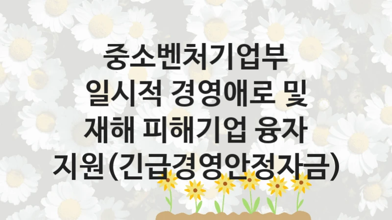 중소벤처기업부
일시적 경영애로 및 재해 피해기업 융자 지원(긴급경영안정자금)