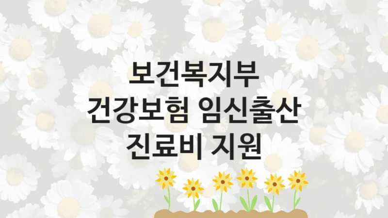 “건강보험 임신출산 진료비 지원” 보건복지부 복지지원 혜택 – 신청 조건과 자격 조건