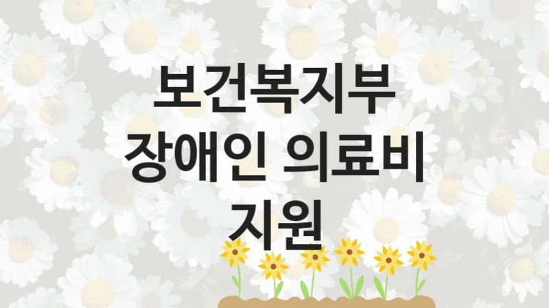 보건복지부 “장애인 의료비 지원” 신청 주요 정보 – 지원 요건과 필요 서류