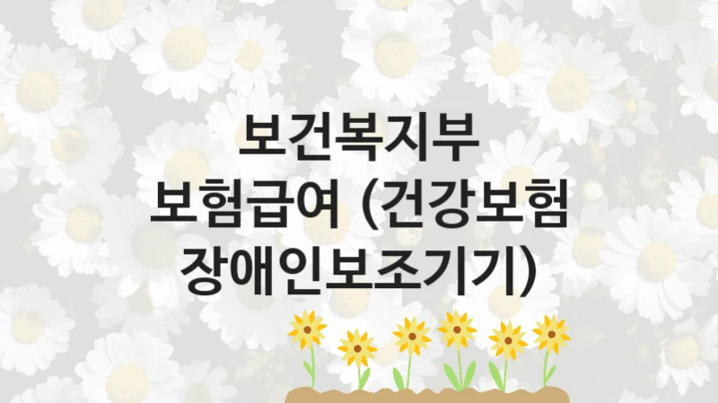 보건복지부
보험급여 (건강보험 장애인보조기기)