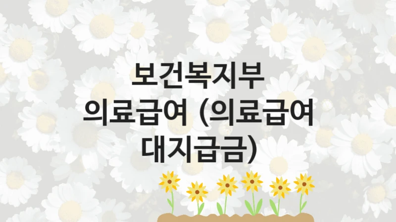 보건복지부
의료급여 (의료급여 대지급금)