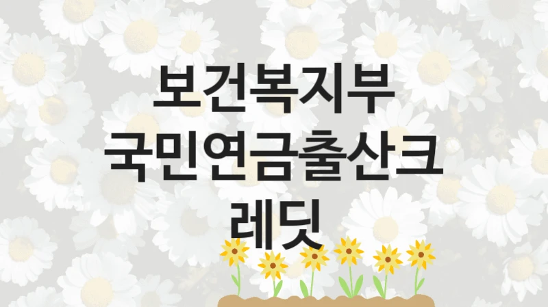 보건복지부
국민연금출산크레딧