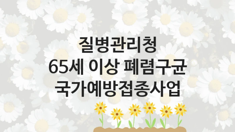 질병관리청
65세 이상 폐렴구균 국가예방접종사업