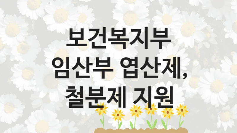 보건복지부
임산부 엽산제, 철분제 지원