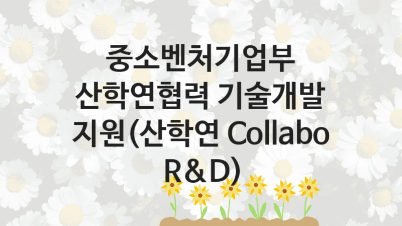 중소벤처기업부
산학연협력 기술개발 지원(산학연 Collabo R&D)