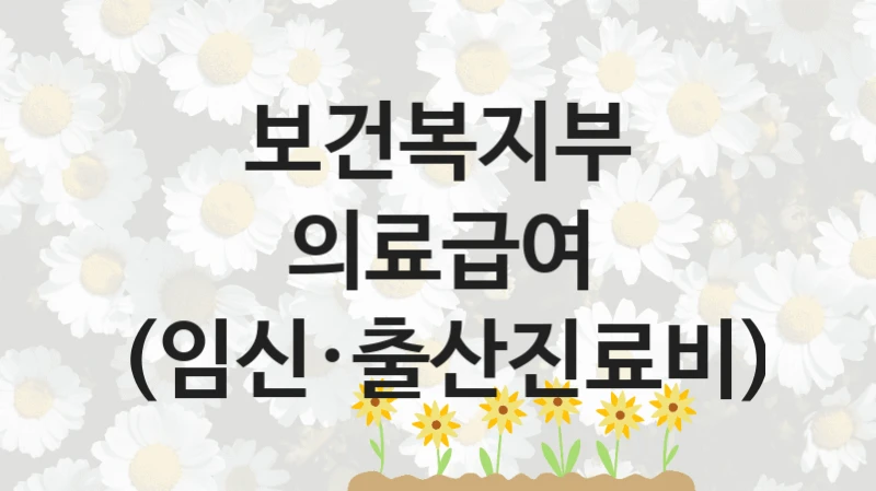 보건복지부
의료급여 (임신·출산진료비)