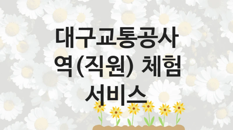 대구교통공사
역(직원) 체험 서비스