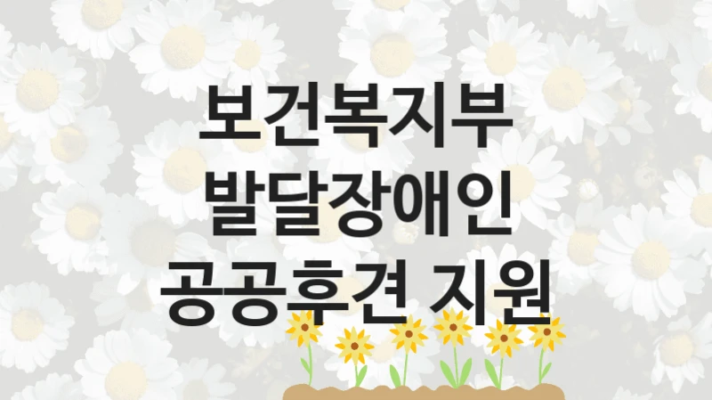 보건복지부
발달장애인 공공후견 지원