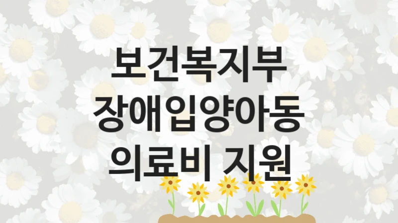 보건복지부
장애입양아동 의료비 지원