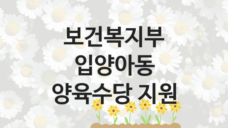 보건복지부 “입양아동 양육수당 지원” 복지 지원혜택 – 신청 조건과 자격 조건