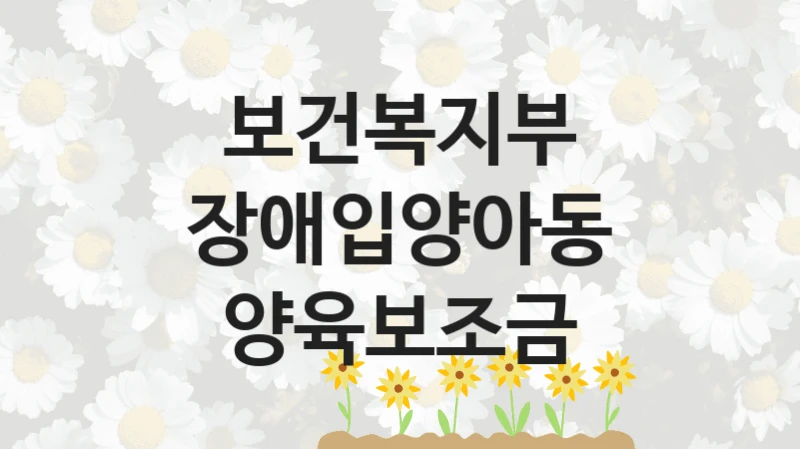 보건복지부
장애입양아동 양육보조금