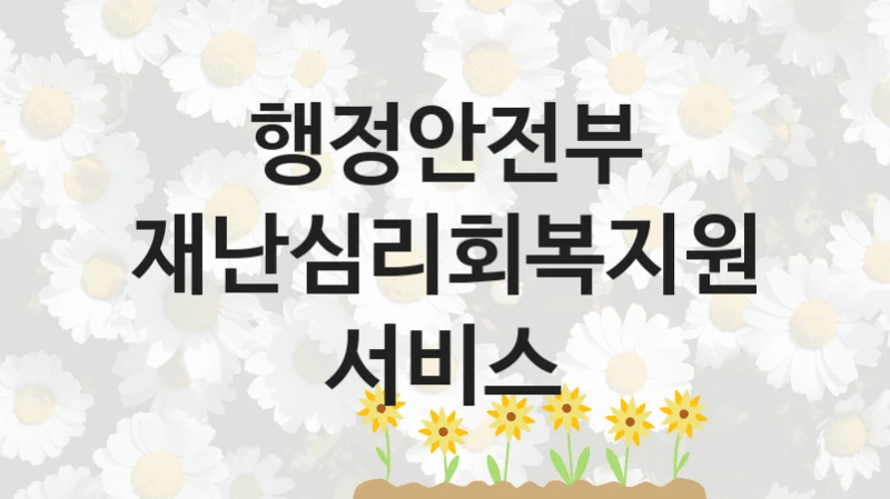 행정안전부
재난심리회복지원 서비스