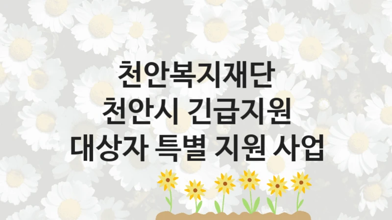 천안복지재단, 천안시 긴급지원 대상자 특별 지원 사업 지원 정책, 신청 구비 서류와 일정