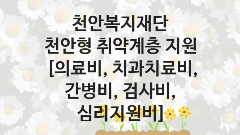 천안복지재단
천안형 취약계층 지원 [의료비, 치과치료비, 간병비, 검사비, 심리지원비]