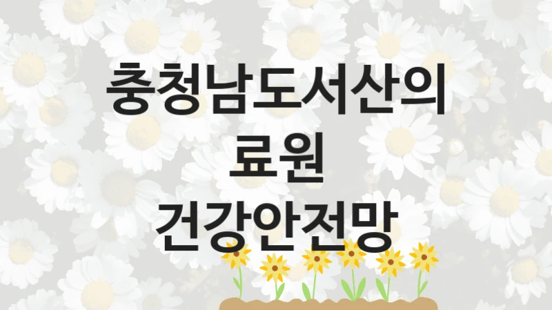 “건강안전망” 복지 혜택 신청부터 지급까지 – 충청남도서산의료원 지원 정책