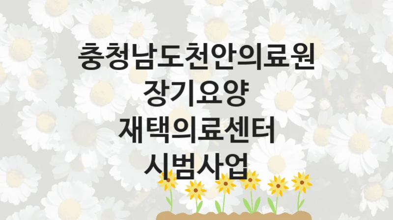 충청남도천안의료원
장기요양 재택의료센터 시범사업