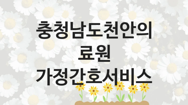 충청남도천안의료원
가정간호서비스