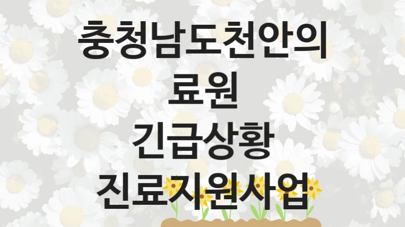 충청남도천안의료원
긴급상황 진료지원사업
