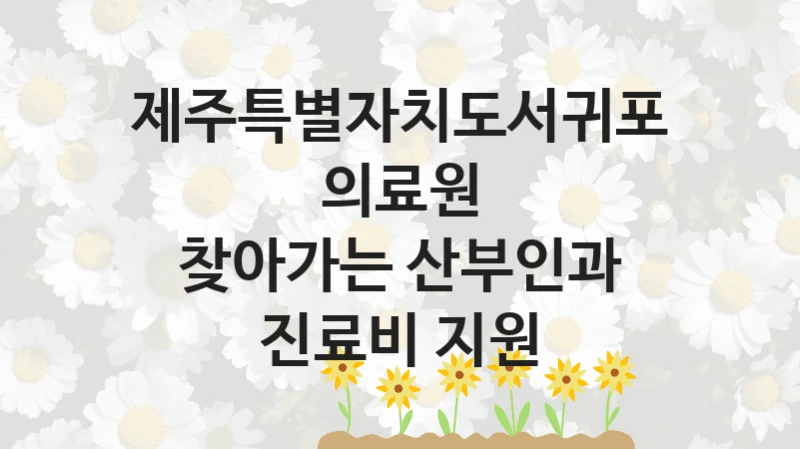 제주특별자치도서귀포의료원 정책 “찾아가는 산부인과 진료비 지원” 서비스 관리부서 -신청 일정과 자격 조건