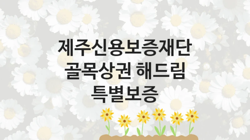 제주신용보증재단
골목상권 해드림 특별보증