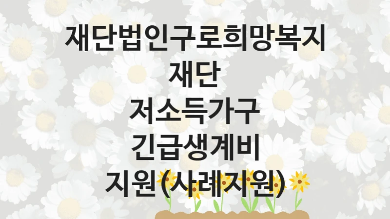 재단법인구로희망복지재단
저소득가구 긴급생계비 지원(사례지원)