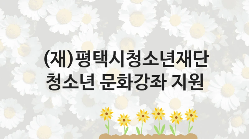 (재)평택시청소년재단
청소년 문화강좌 지원