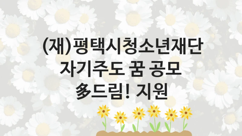 “자기주도 꿈 공모 多드림! 지원” 혜택 대상자 조건 – (재)평택시청소년재단 복지정책 요건 및 혜택