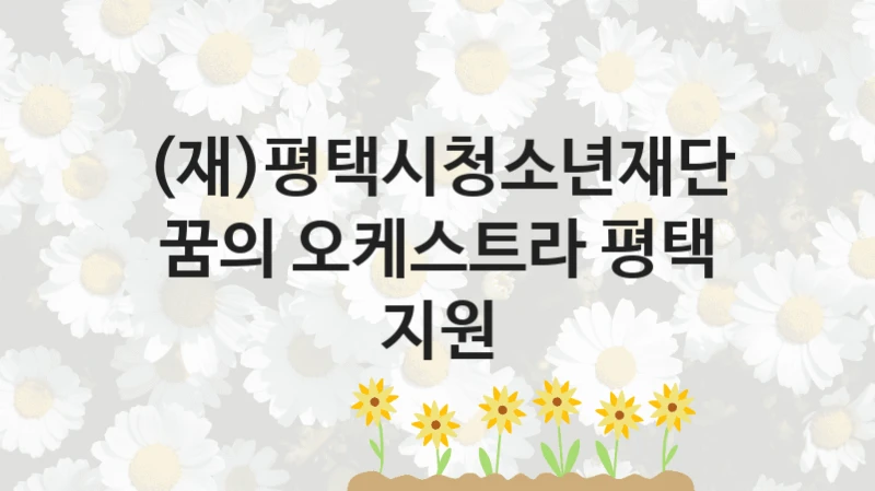 (재)평택시청소년재단
꿈의 오케스트라 평택 지원