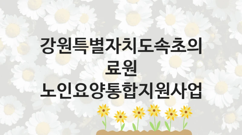 강원특별자치도속초의료원
노인요양통합지원사업