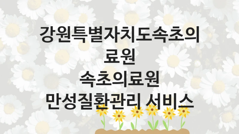 “속초의료원 만성질환관리 서비스” 지원 한도와 신청 기준 – 강원특별자치도속초의료원 복지정책 요건 및 혜택