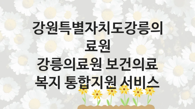 강원특별자치도강릉의료원
강릉의료원 보건의료 복지 통합지원 서비스