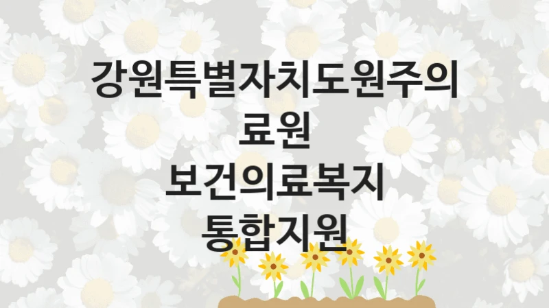 강원특별자치도원주의료원
보건의료복지 통합지원