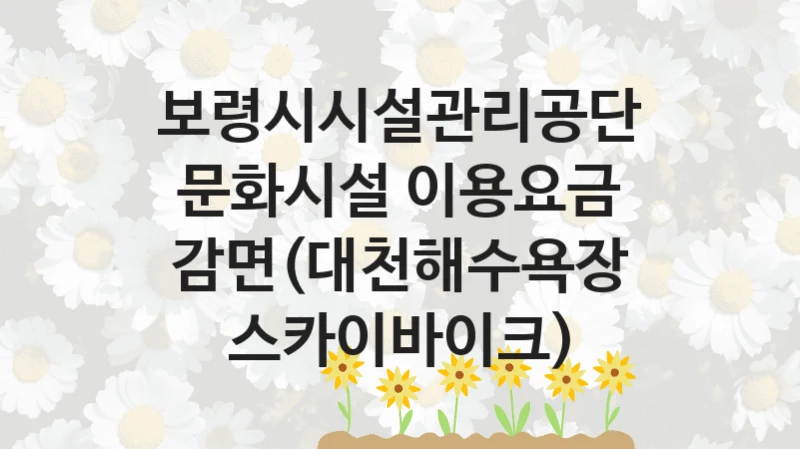 보령시시설관리공단
문화시설 이용요금 감면(대천해수욕장 스카이바이크)