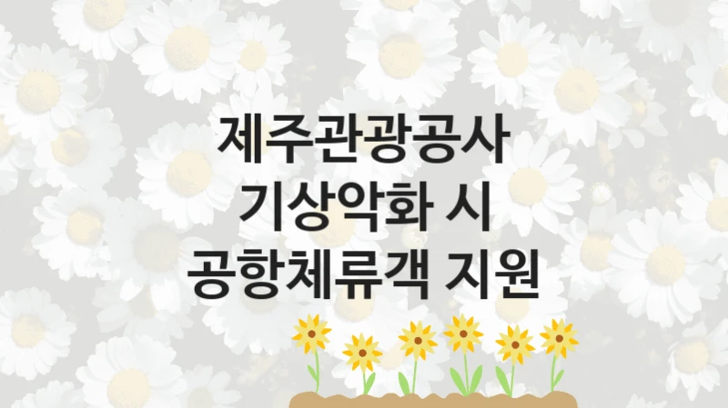 제주관광공사
기상악화 시 공항체류객 지원