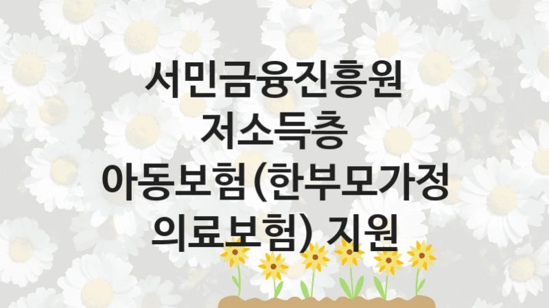 서민금융진흥원
저소득층 아동보험(한부모가정 의료보험) 지원