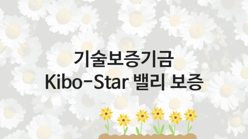 “Kibo-Star 밸리 보증” 복지 혜택 신청부터 지급까지 – 기술보증기금 지원 정책