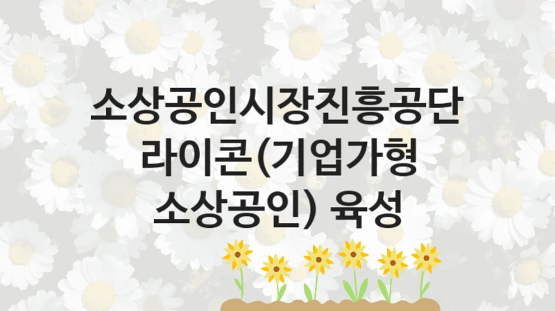 소상공인시장진흥공단
라이콘(기업가형 소상공인) 육성