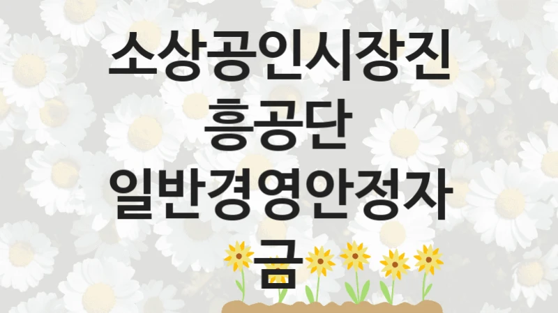 소상공인시장진흥공단
일반경영안정자금