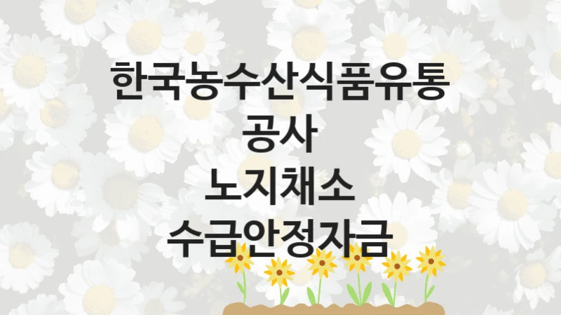 “노지채소 수급안정자금” 혜택 대상자 조건 – 한국농수산식품유통공사 복지정책 요건 및 혜택