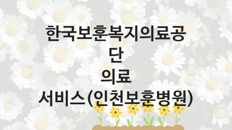 한국보훈복지의료공단
의료 서비스(인천보훈병원)
