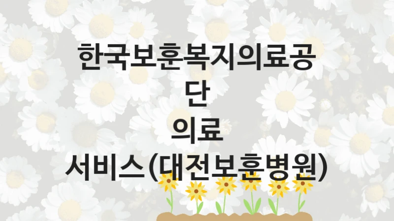 “의료 서비스(대전보훈병원)” 혜택 대상자 조건 – 한국보훈복지의료공단 복지정책 요건 및 혜택