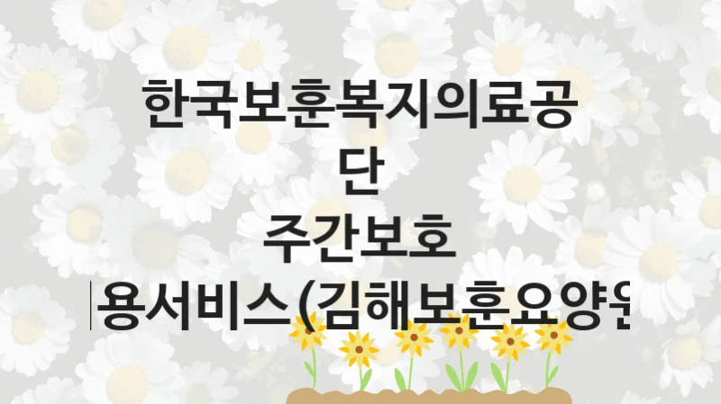 한국보훈복지의료공단
주간보호 이용서비스(김해보훈요양원)