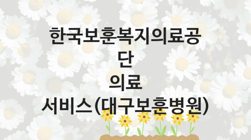 한국보훈복지의료공단
의료 서비스(대구보훈병원)