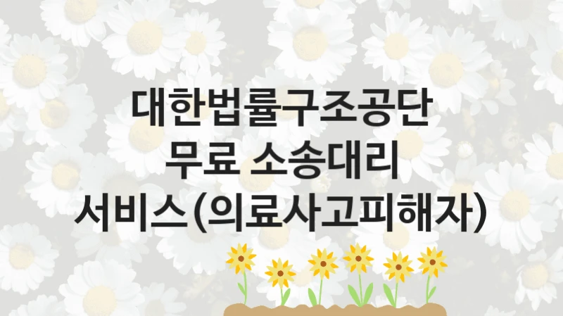 대한법률구조공단
무료 소송대리 서비스(의료사고피해자)