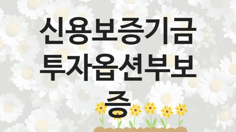 투자옵션부보증 신청 가이드 – 신용보증기금 복지 지원 방법 및 필수 요건 안내