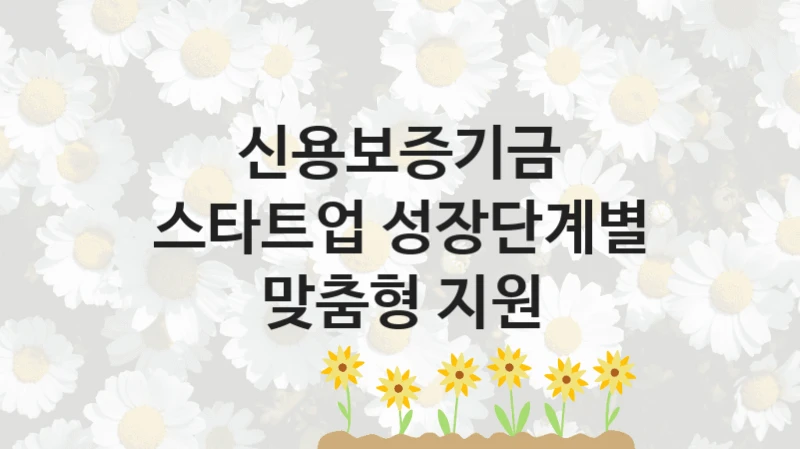 정부 지원 제도 “스타트업 성장단계별 맞춤형 지원” 신청 절차와 준비물 – 신용보증기금